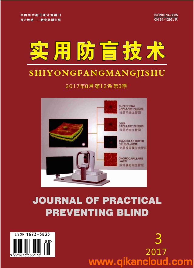 实用防盲技术杂志